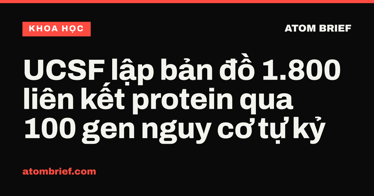 UCSF lập bản đồ 1.800 liên kết protein qua 100 gen nguy cơ tự kỷ