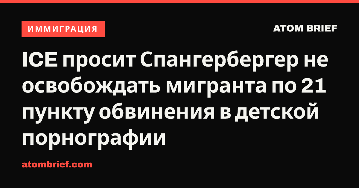 ICE просит Спангербергер не освобождать мигранта по 21 пункту обвинения в детской порнографии