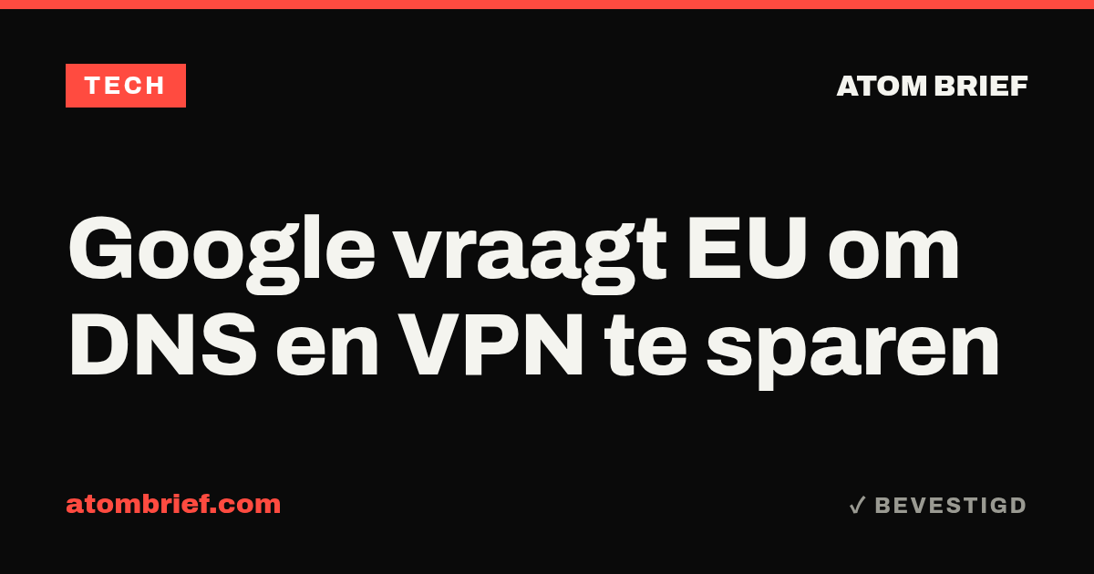 Google vraagt EU om DNS en VPN te sparen