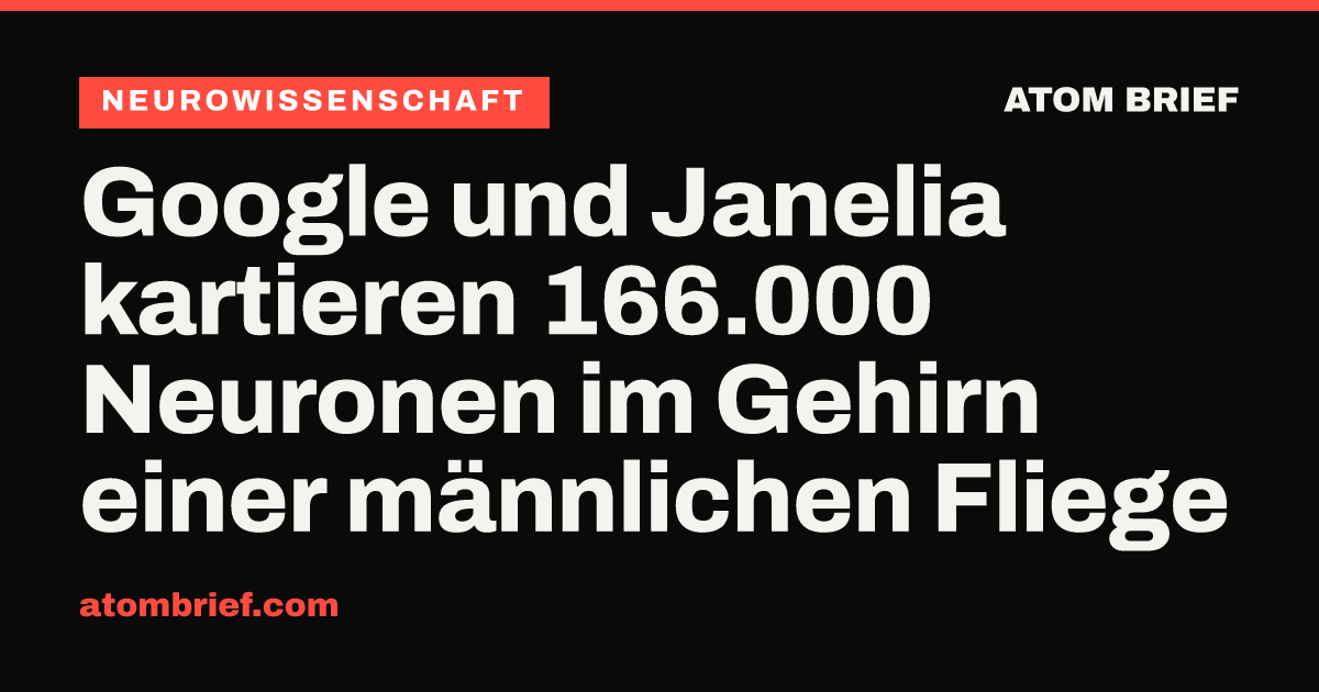 Google und Janelia kartieren 166.000 Neuronen im Gehirn einer männlichen Fliege
