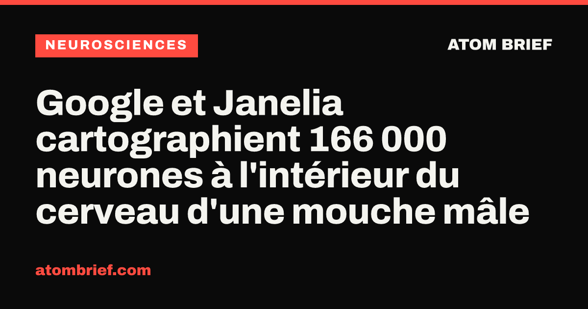 Google et Janelia cartographient 166 000 neurones à l'intérieur du cerveau d'une mouche mâle