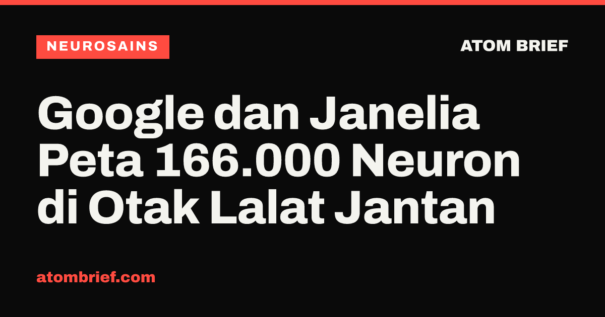Google dan Janelia Peta 166.000 Neuron di Otak Lalat Jantan