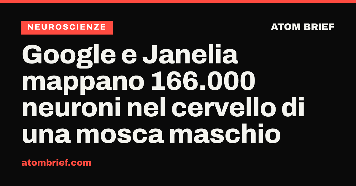 Google e Janelia mappano 166.000 neuroni nel cervello di una mosca maschio