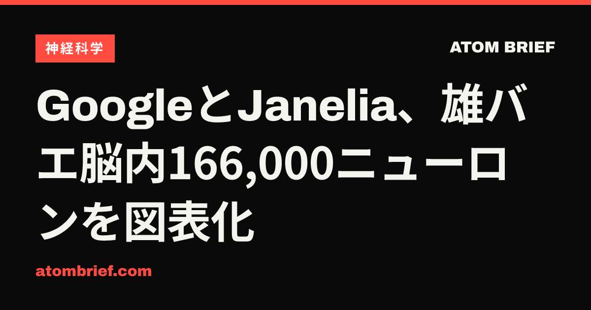 GoogleとJanelia、雄バエ脳内166,000ニューロンを図表化
