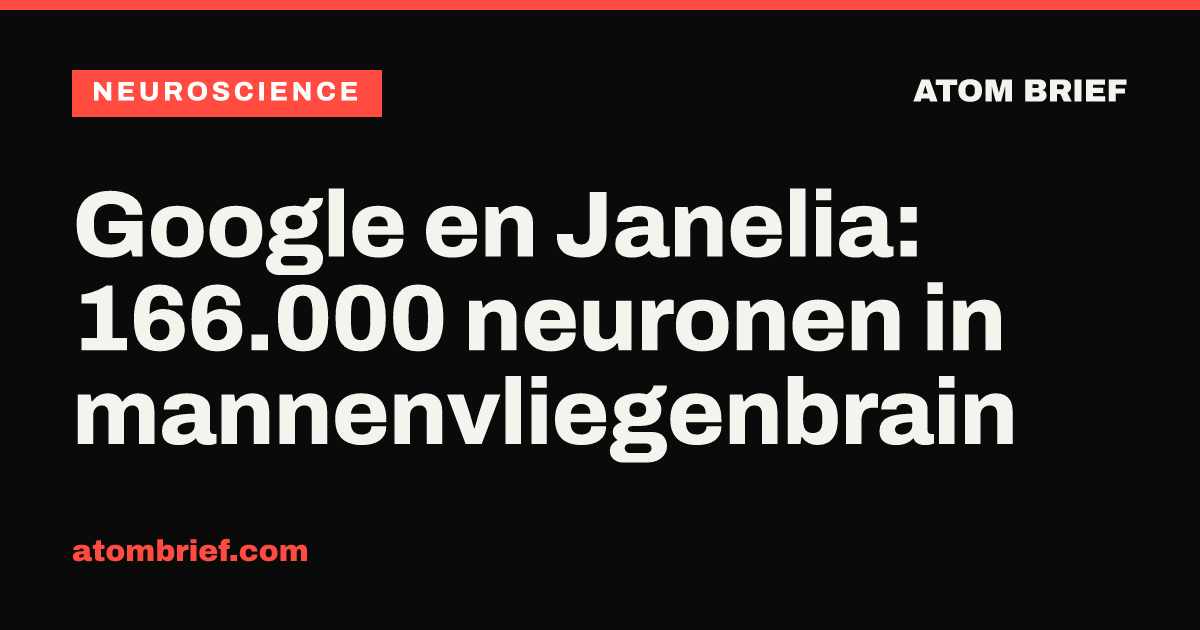 Google en Janelia: 166.000 neuronen in mannenvliegenbrain