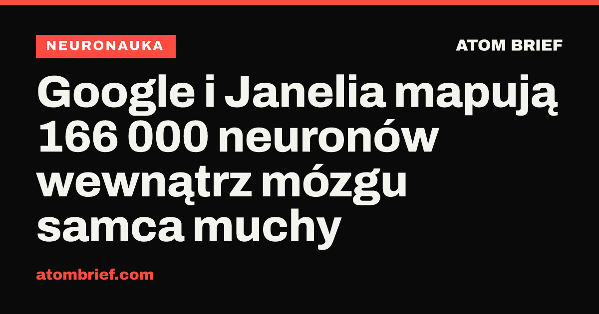 Google i Janelia mapują 166 000 neuronów wewnątrz mózgu samca muchy