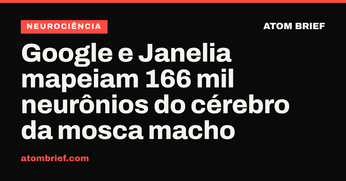 Google e Janelia mapeiam 166 mil neurônios do cérebro da mosca macho