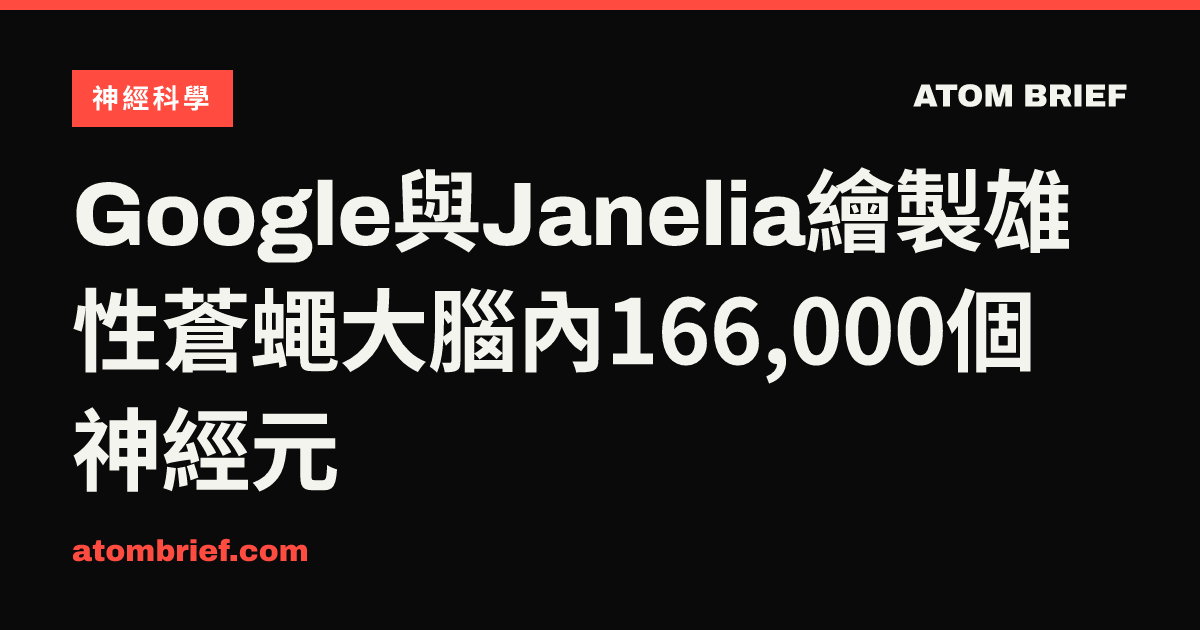 Google與Janelia繪製雄性蒼蠅大腦內166,000個神經元