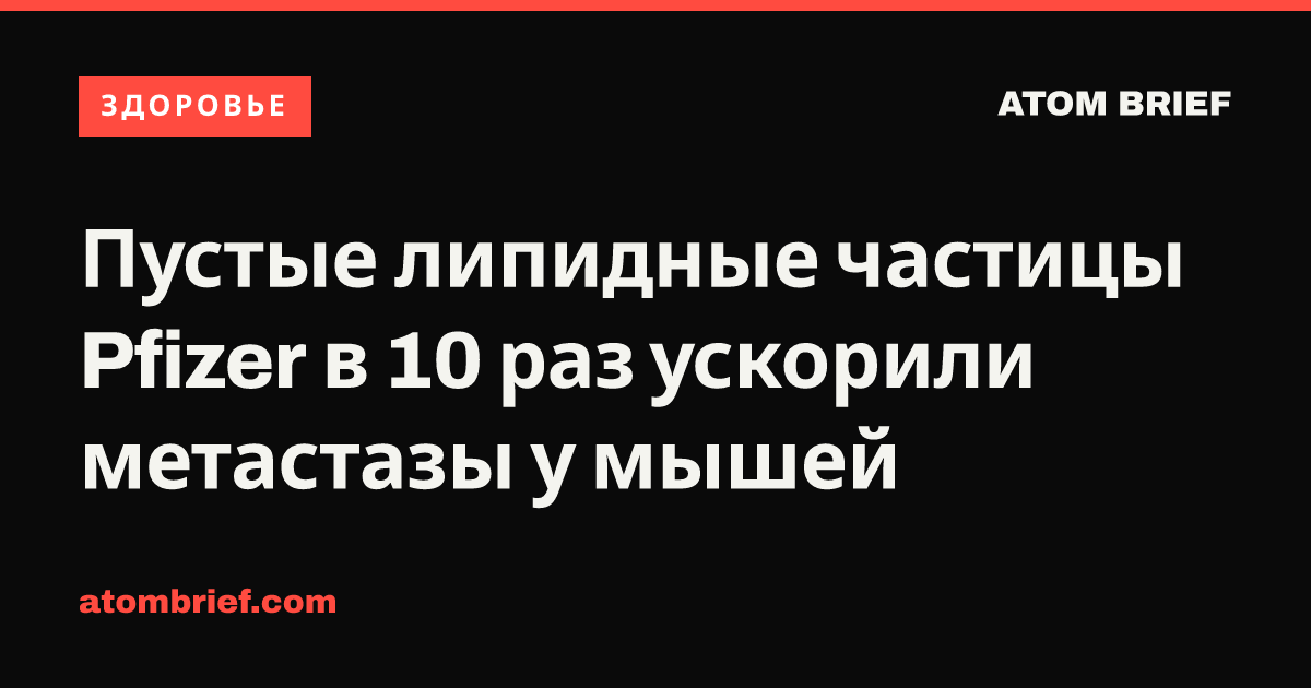 Пустые липидные частицы Pfizer в 10 раз ускорили метастазы у мышей