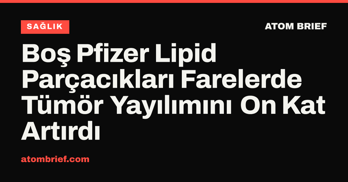 Boş Pfizer Lipid Parçacıkları Farelerde Tümör Yayılımını On Kat Artırdı