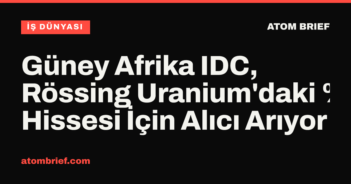 Güney Afrika IDC, Rössing Uranium'daki %10,2 Hissesi İçin Alıcı Arıyor
