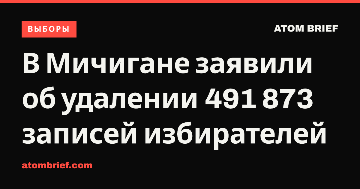 В Мичигане заявили об удалении 491 873 записей избирателей