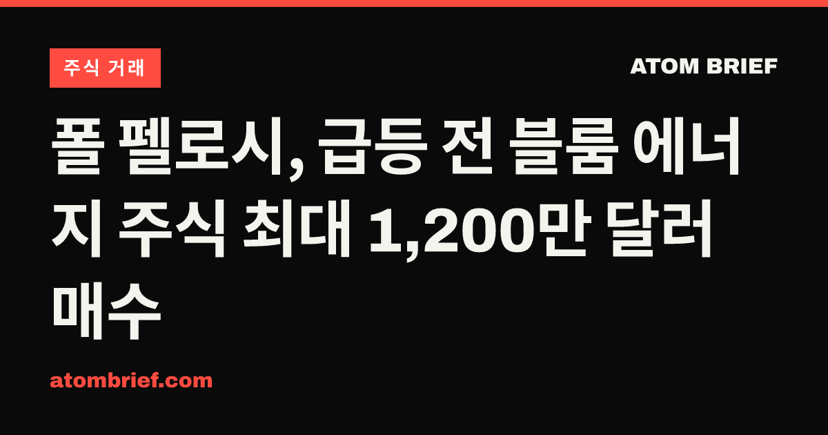 폴 펠로시, 급등 전 블룸 에너지 주식 최대 1,200만 달러 매수