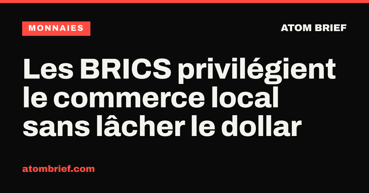 Les BRICS privilégient le commerce local sans lâcher le dollar