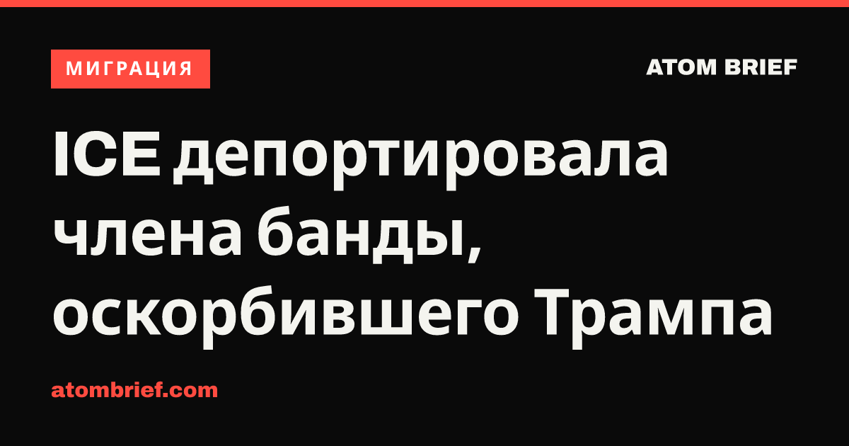 ICE депортировала члена банды, оскорбившего Трампа
