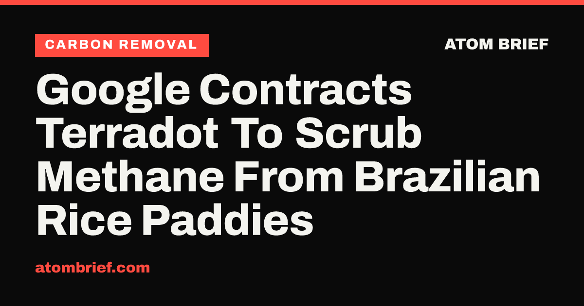 Google Contracts Terradot To Scrub Methane From Brazilian Rice Paddies