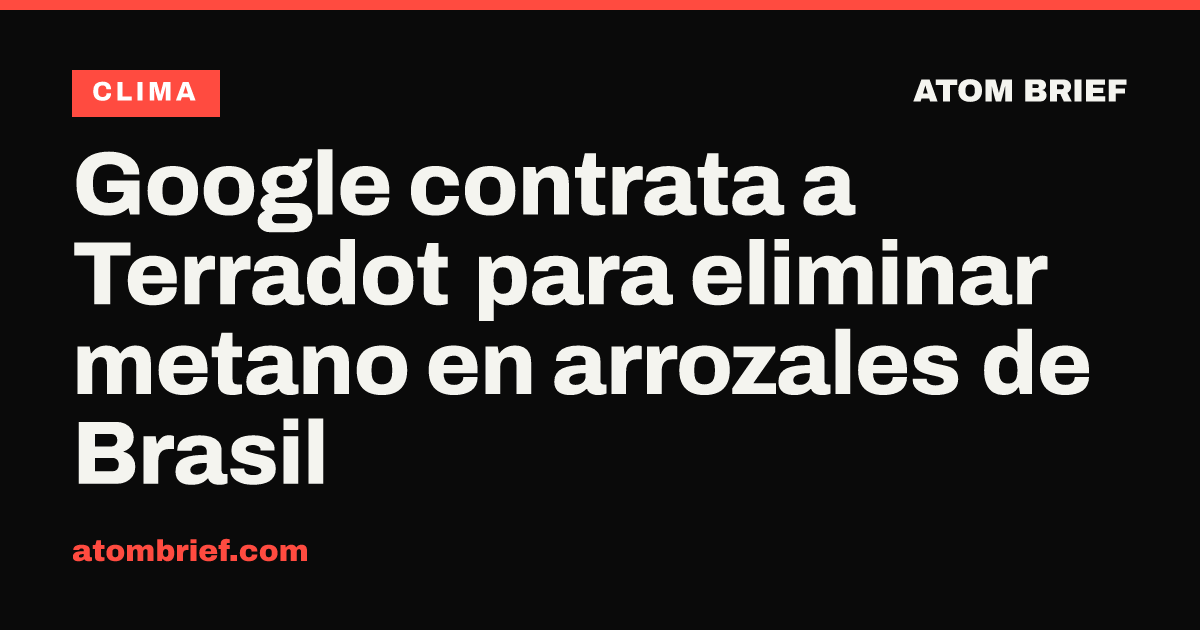 Google contrata a Terradot para eliminar metano en arrozales de Brasil