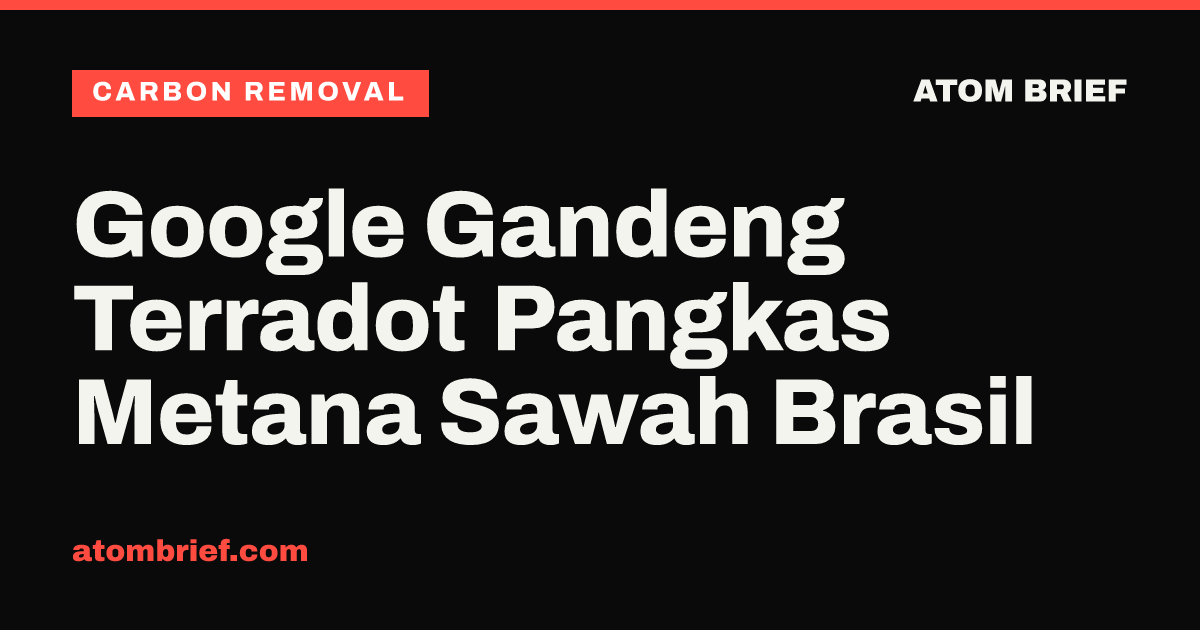 Google Gandeng Terradot Pangkas Metana Sawah Brasil