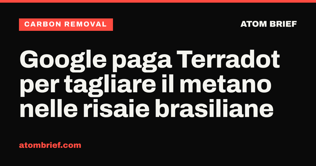 Google paga Terradot per tagliare il metano nelle risaie brasiliane