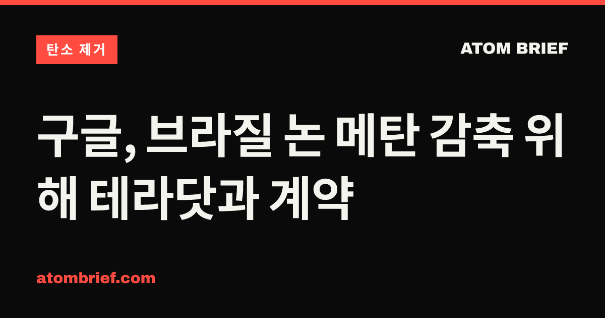 구글, 브라질 논 메탄 감축 위해 테라닷과 계약