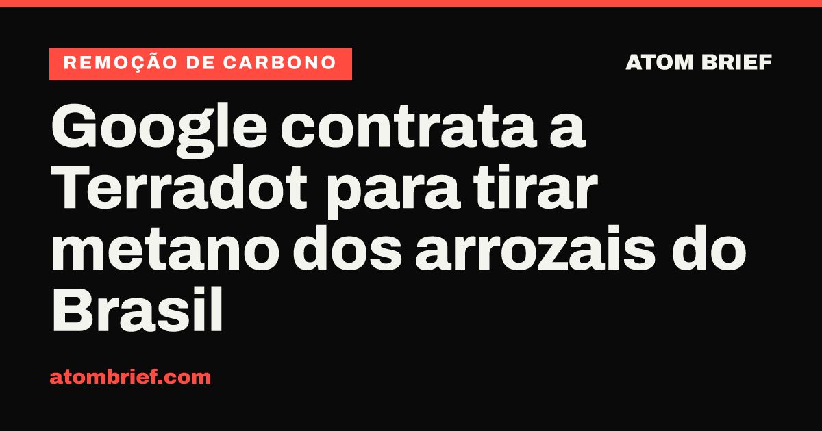 Google contrata a Terradot para tirar metano dos arrozais do Brasil