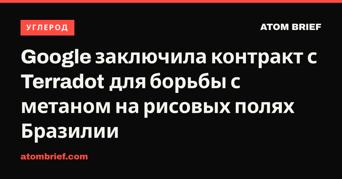 Google заключила контракт с Terradot для борьбы с метаном на рисовых полях Бразилии