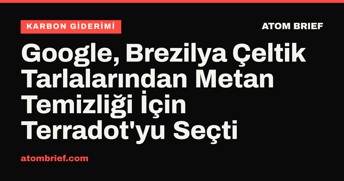 Google, Brezilya Çeltik Tarlalarından Metan Temizliği İçin Terradot'yu Seçti