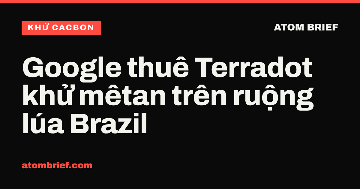 Google thuê Terradot khử mêtan trên ruộng lúa Brazil