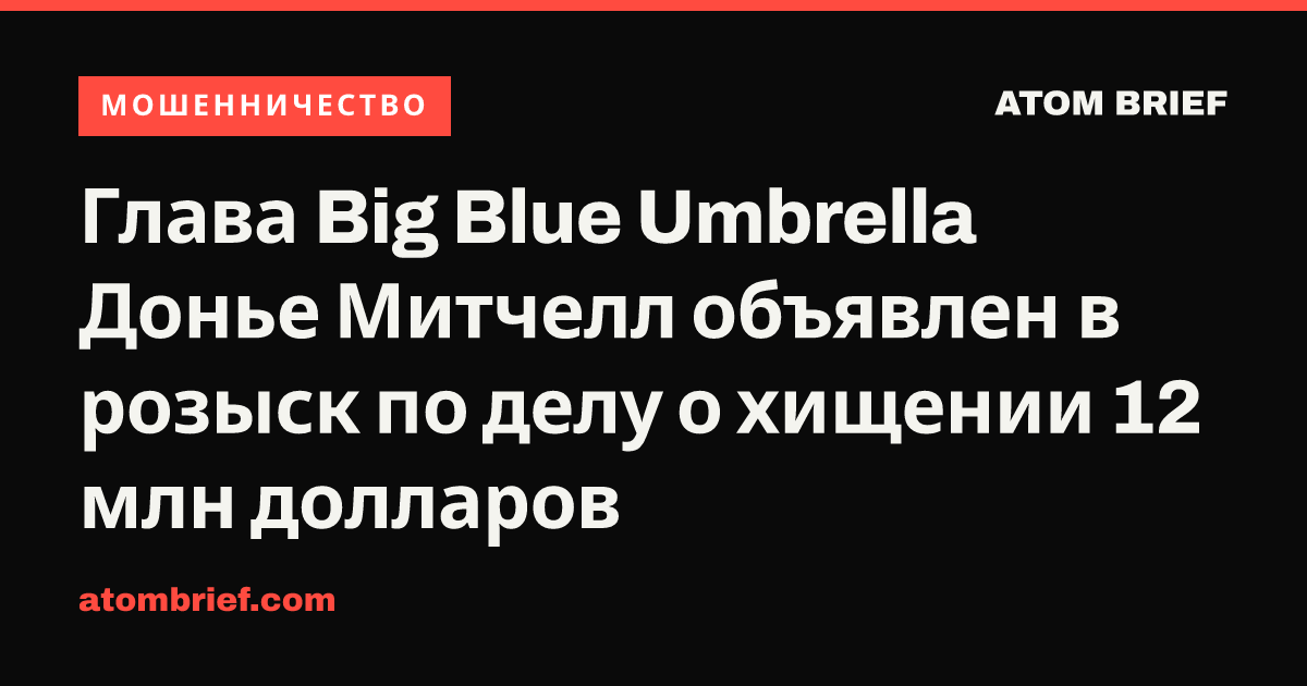 Глава Big Blue Umbrella Донье Митчелл объявлен в розыск по делу о хищении 12 млн долларов