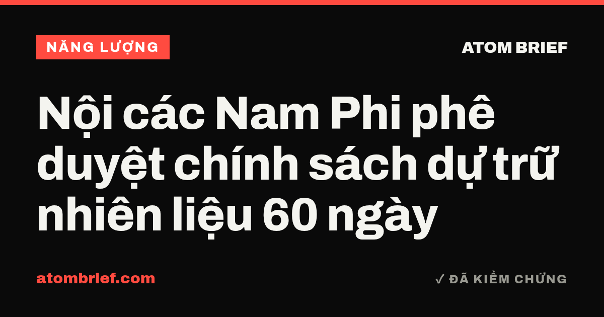 Nội các Nam Phi phê duyệt chính sách dự trữ nhiên liệu 60 ngày