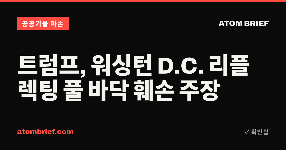 트럼프, 워싱턴 D.C. 리플렉팅 풀 바닥 훼손 주장