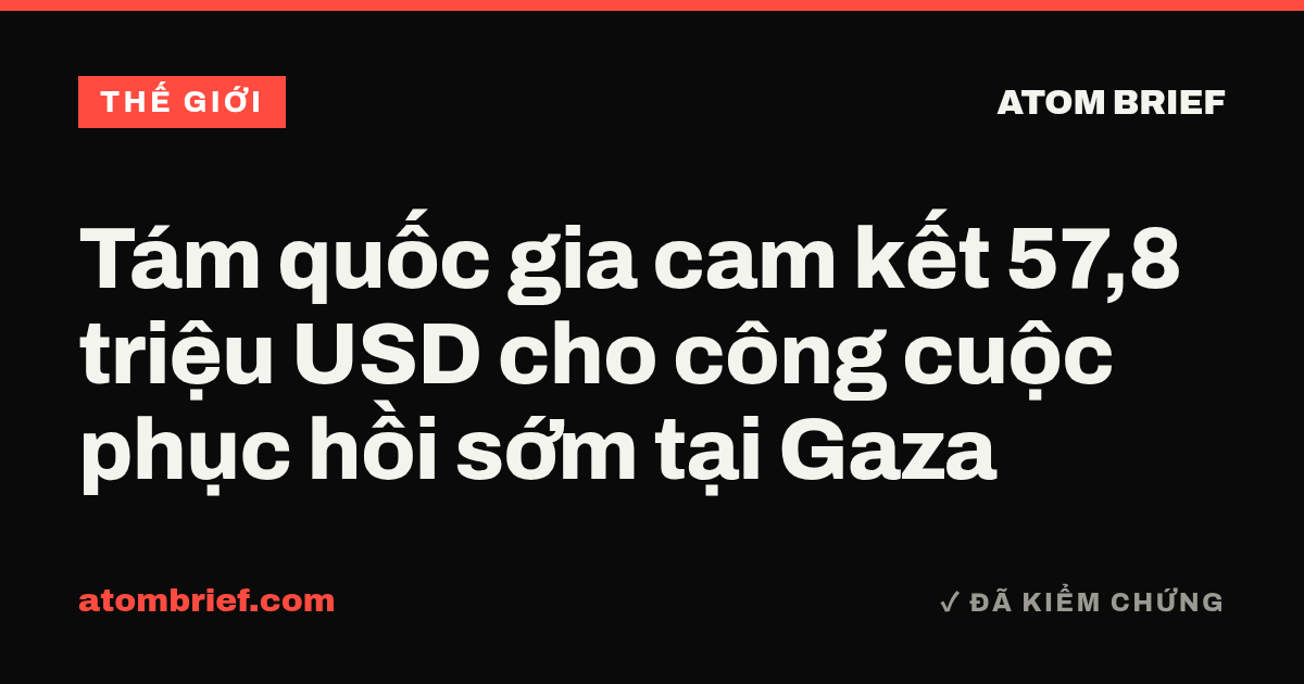 Tám quốc gia cam kết 57,8 triệu USD cho công cuộc phục hồi sớm tại Gaza