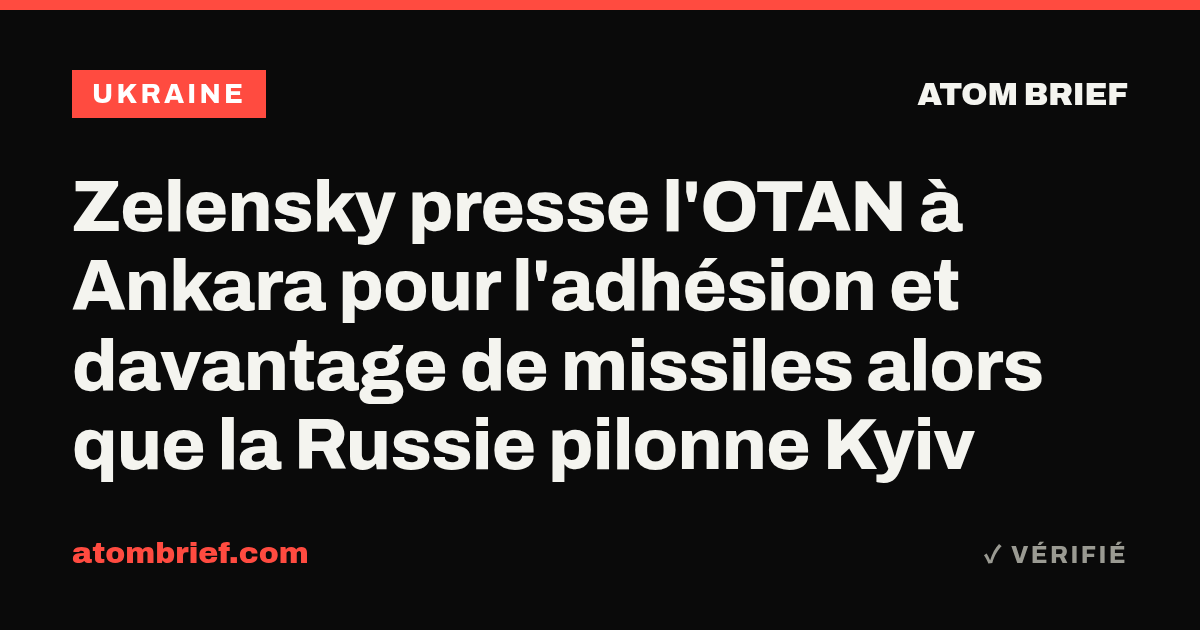 Zelensky presse l'OTAN à Ankara pour l'adhésion et davantage de missiles alors que la Russie pilonne Kyiv
