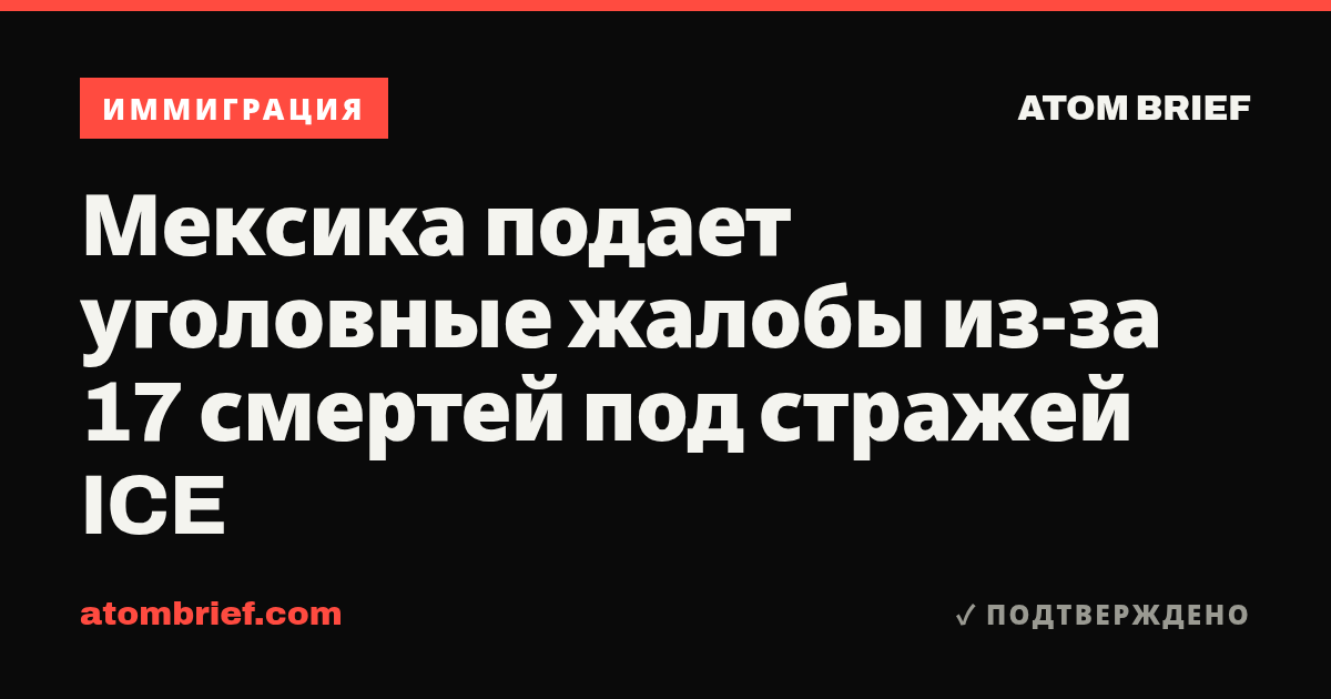 Мексика подает уголовные жалобы из-за 17 смертей под стражей ICE