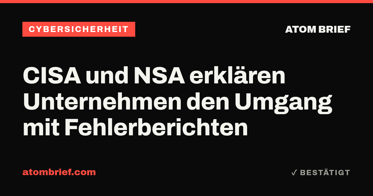 CISA und NSA erklären Unternehmen den Umgang mit Fehlerberichten