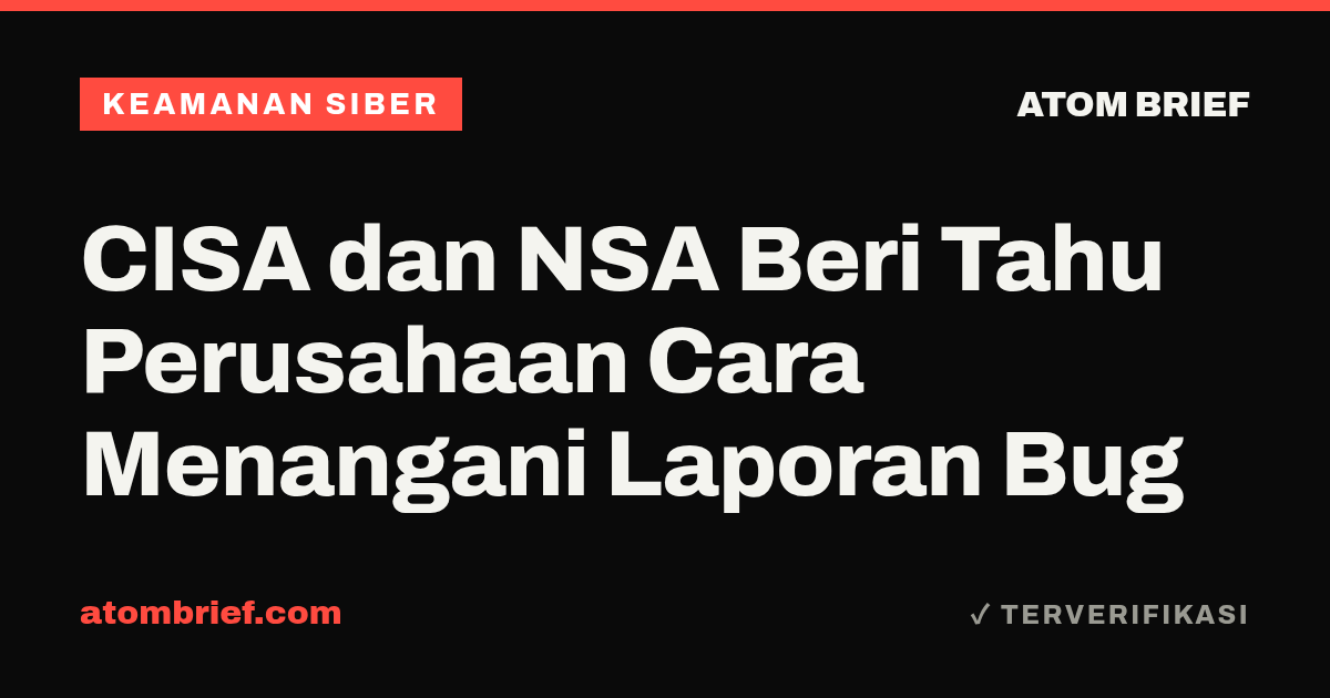 CISA dan NSA Beri Tahu Perusahaan Cara Menangani Laporan Bug