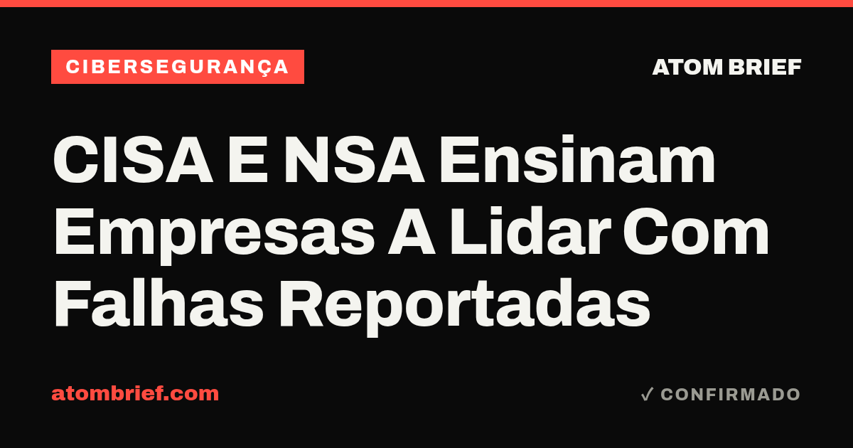 CISA E NSA Ensinam Empresas A Lidar Com Falhas Reportadas