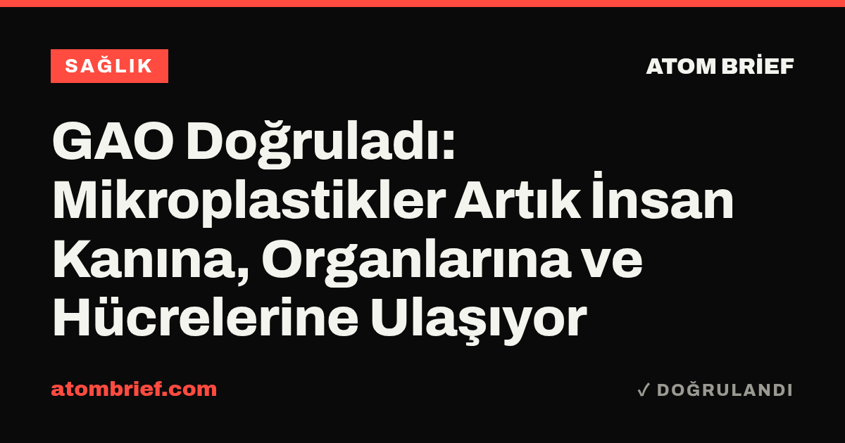 GAO Doğruladı: Mikroplastikler Artık İnsan Kanına, Organlarına ve Hücrelerine Ulaşıyor