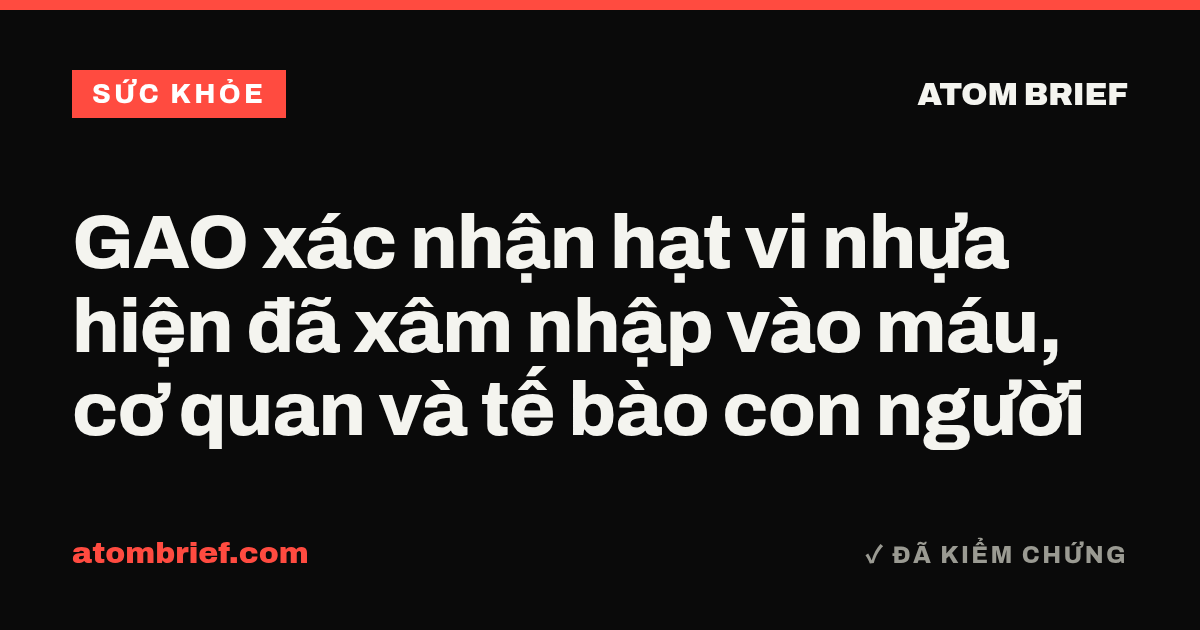 GAO xác nhận hạt vi nhựa hiện đã xâm nhập vào máu, cơ quan và tế bào con người
