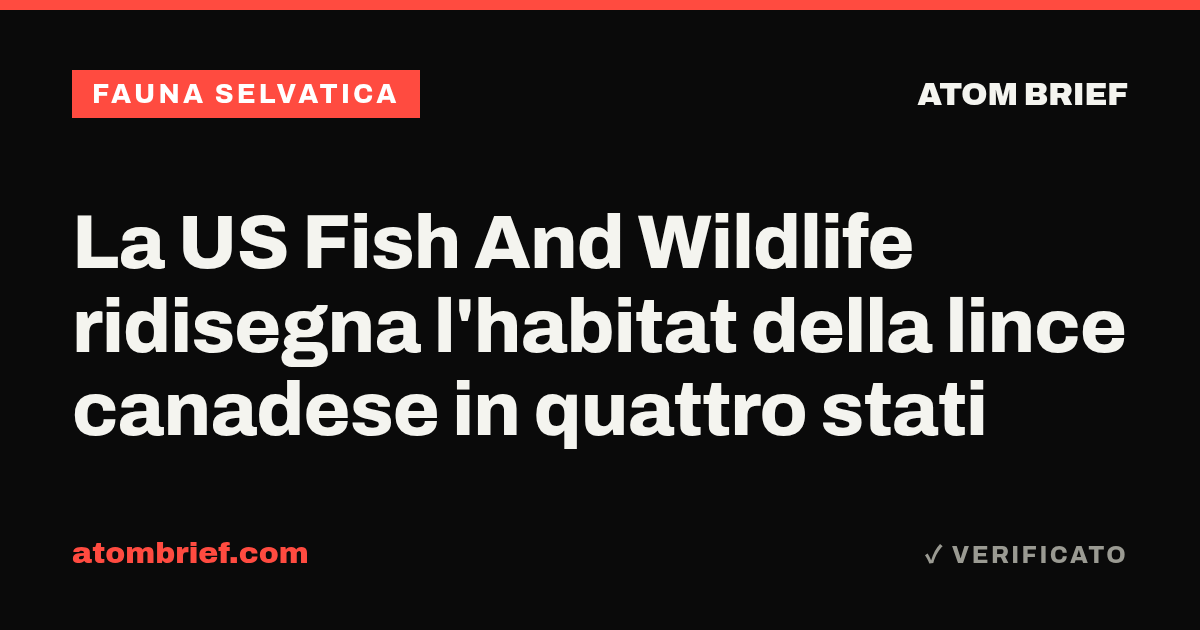 La US Fish And Wildlife ridisegna l'habitat della lince canadese in quattro stati