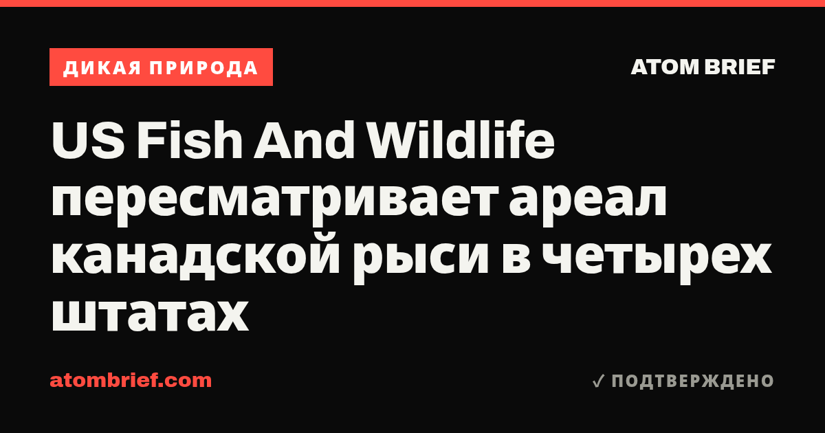US Fish And Wildlife пересматривает ареал канадской рыси в четырех штатах