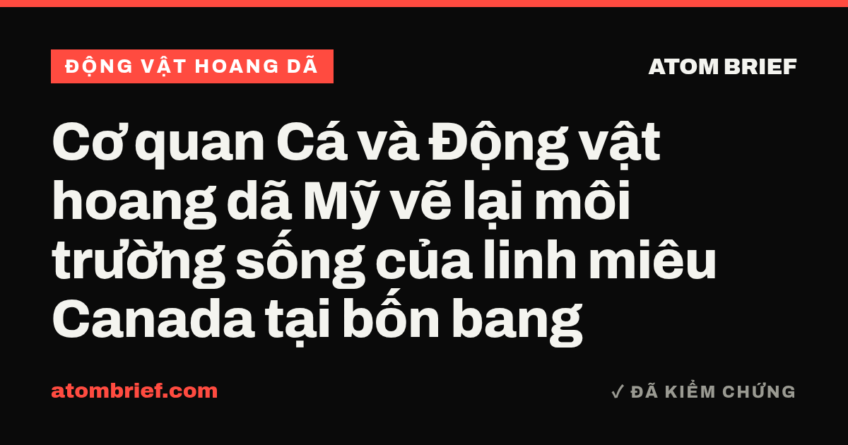 Cơ quan Cá và Động vật hoang dã Mỹ vẽ lại môi trường sống của linh miêu Canada tại bốn bang