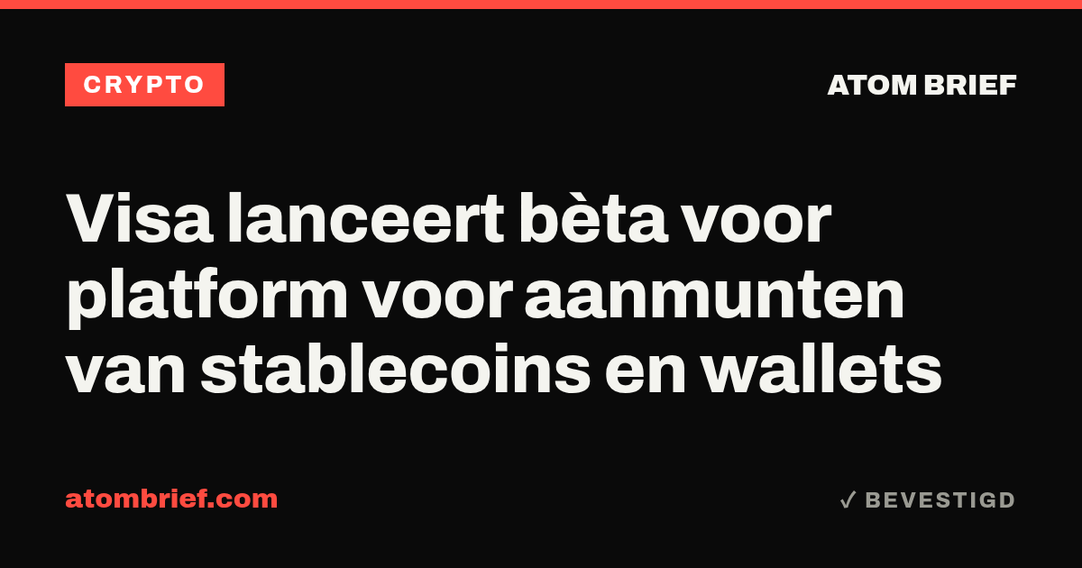 Visa lanceert bèta voor platform voor aanmunten van stablecoins en wallets