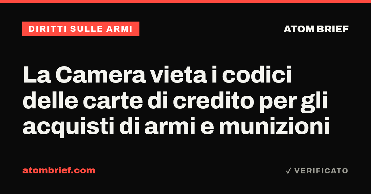 La Camera vieta i codici delle carte di credito per gli acquisti di armi e munizioni