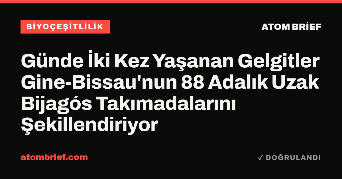 Günde İki Kez Yaşanan Gelgitler Gine-Bissau'nun 88 Adalık Uzak Bijagós Takımadalarını Şekillendiriyor