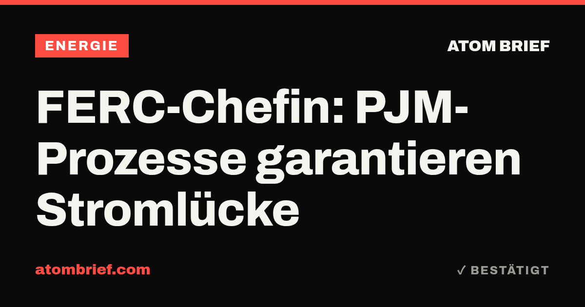 FERC-Chefin: PJM-Prozesse garantieren Stromlücke