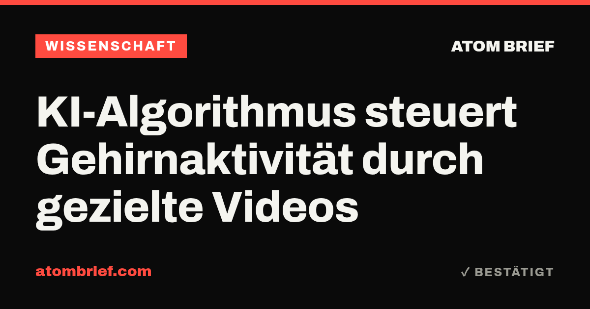 KI-Algorithmus steuert Gehirnaktivität durch gezielte Videos
