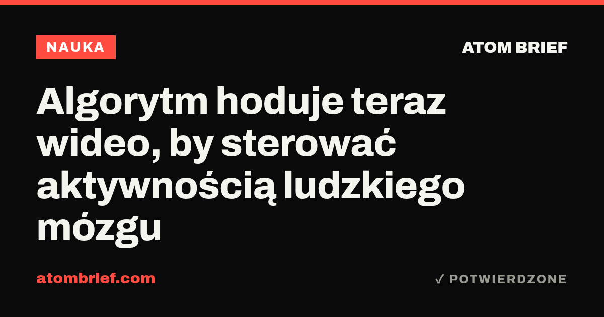 Algorytm hoduje teraz wideo, by sterować aktywnością ludzkiego mózgu