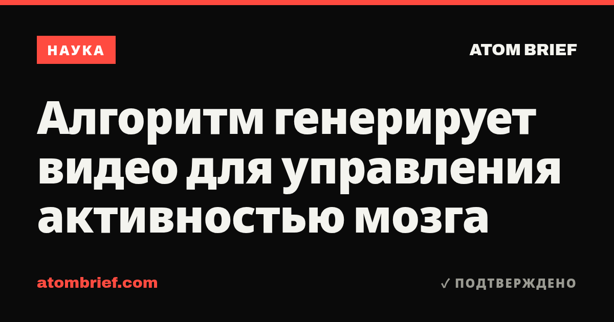 Алгоритм генерирует видео для управления активностью мозга