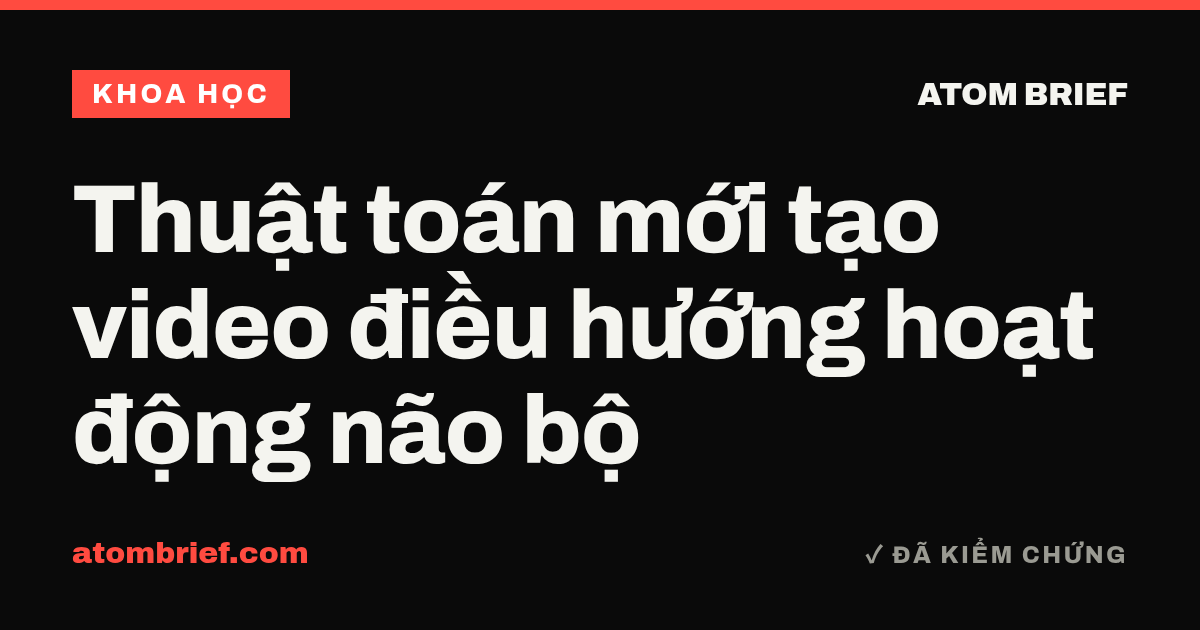 Thuật toán mới tạo video điều hướng hoạt động não bộ
